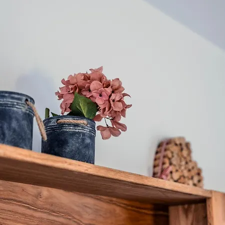 Penthouse In Den Bergen *